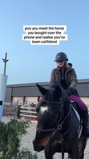 Video post by @millicentstennett on TikTok