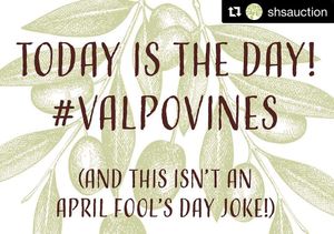 Image post by @shsatherton on Instagram