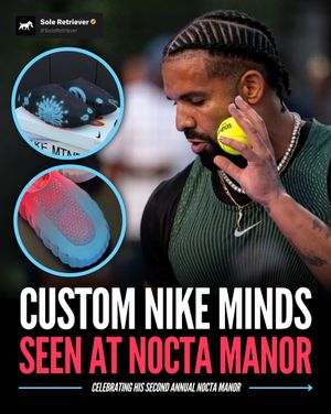 Image post by @soleretriever on Instagram