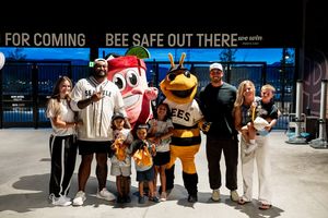 Image post by @saltlakebees on Instagram