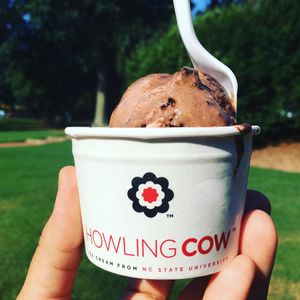 Image post by @ncstatecals on Instagram