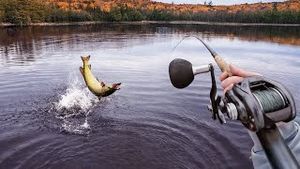 Video post by @jonbrollin on YouTube