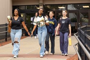 Image post by @hofstrau on Instagram