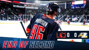 Image post by @Firebirds on Twitter