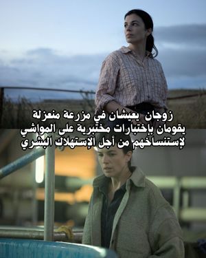 Image post by @ahmedalarshi on Instagram