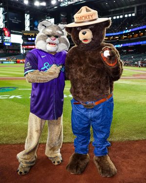 Image post by @dbacksbaxter on Instagram