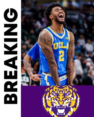 Image post by @bootkrewemedia on Instagram