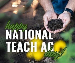Image post by @txextension on Instagram