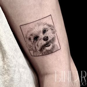 Image post by @christina.lineartattoo on Instagram