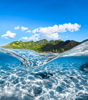 Image post by @gopro on Instagram