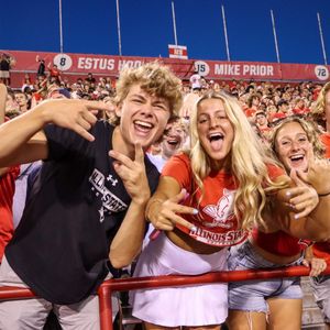 Image post by @isuredbirds on Instagram