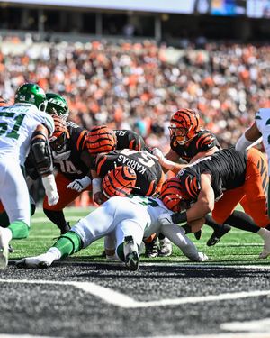 Image post by @bengals on Instagram