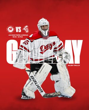 Image post by @ugahockeyd3 on Instagram