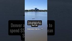 Video post by @denver8tv on YouTube