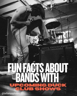 Image post by @duckclubboise on Instagram