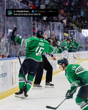 Image post by @fl_everblades on Instagram