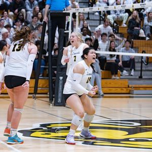 Image post by @witathletics on Instagram