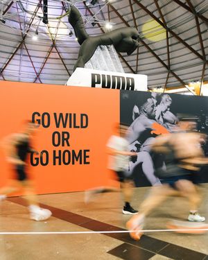 Image post by @pumaau on Instagram