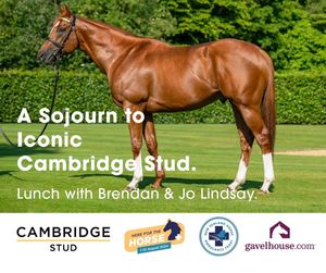 Image post by @nzhorseambulancetrust on Facebook