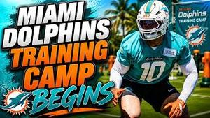 Video post by @dolphinstalk on YouTube