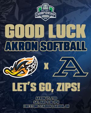 Image post by @akronrubberducks on Instagram