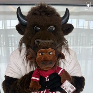 Image post by @hoosierthebison on Instagram