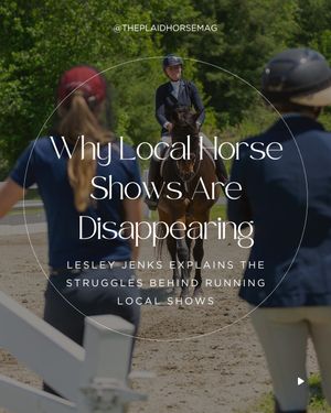 Image post by @theplaidhorsemag on Instagram