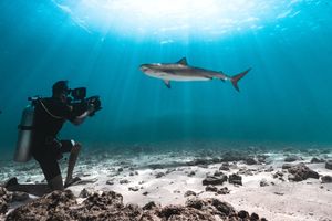 Image post by @reddigitalcinema on Instagram