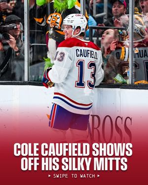 Image post by @nhl on Instagram