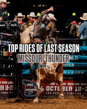 Image post by @pbr on Instagram