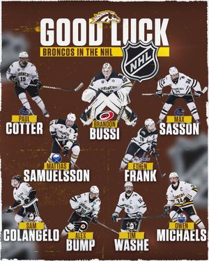 Image post by @wmu_hockey on Instagram