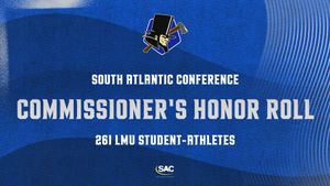 Image post by @lmurailsplitters on Instagram