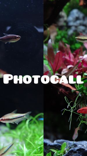 Video post by @aqualupi on Instagram