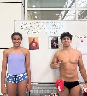 Image post by @terrierswimdive on Instagram