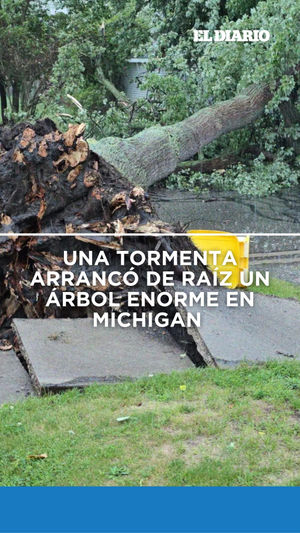 Image post by @eldiariony on Instagram