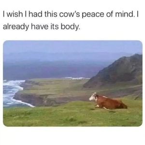 Image post by @introvertsays.in on Instagram