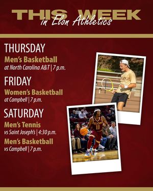 Image post by @elonrisingphoenix on Instagram