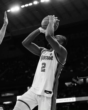 Image post by @danielsherer_ on Instagram