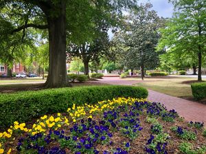 Image post by @EastCarolina on Twitter