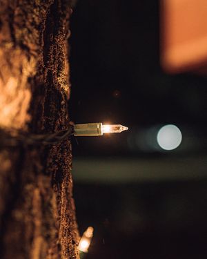 Image post by @brandonlarochelleproductions on Instagram