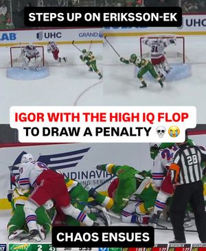 Image post by @br_openice on Instagram