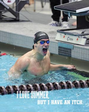 Image post by @aggieswimdive on Instagram