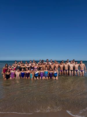 Image post by @nuswimdive on Instagram