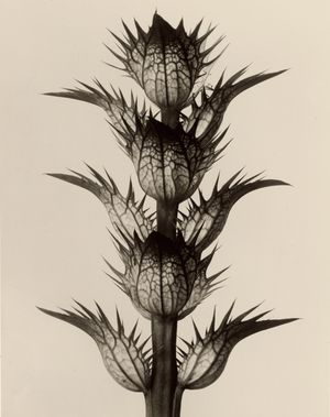 Image post by @gettymuseum on Instagram