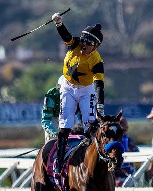 Image post by @breederscup on Instagram