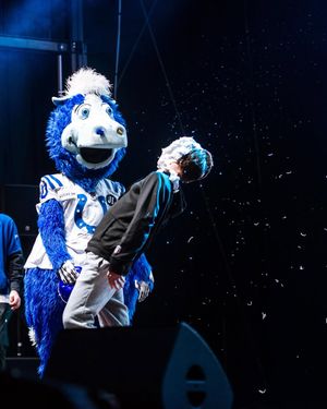 Image post by @may.s_photography on Instagram