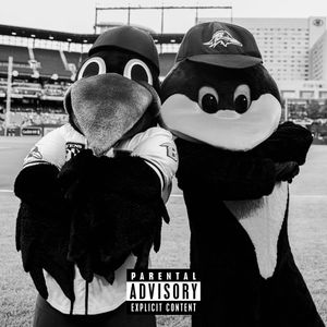 Image post by @OrioleBird on Twitter