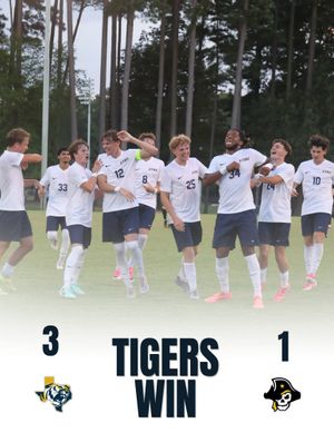 Image post by @goetbutigers on Instagram