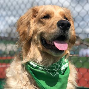 Image post by @marshallu on Instagram
