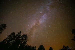 Image post by @gomediakc on Instagram